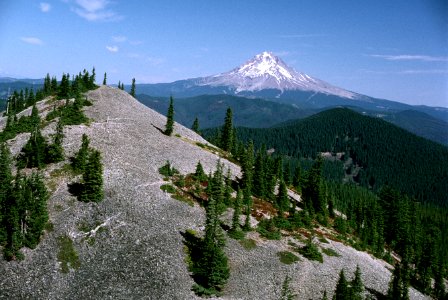 Signal Butte Mt Hood National Forest.jpg photo