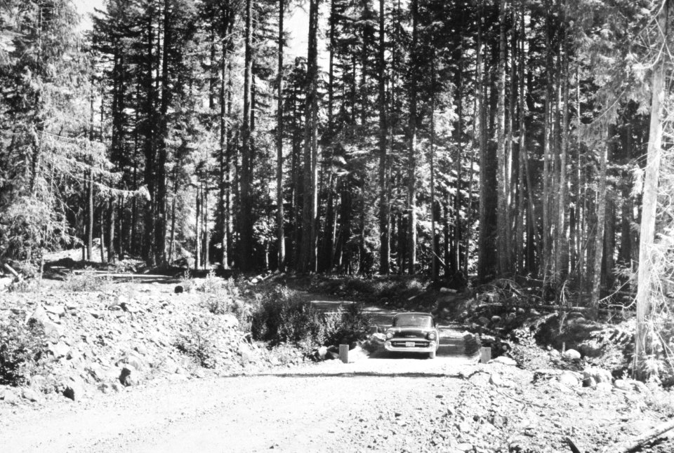 048 Forest Service road,  1950,s