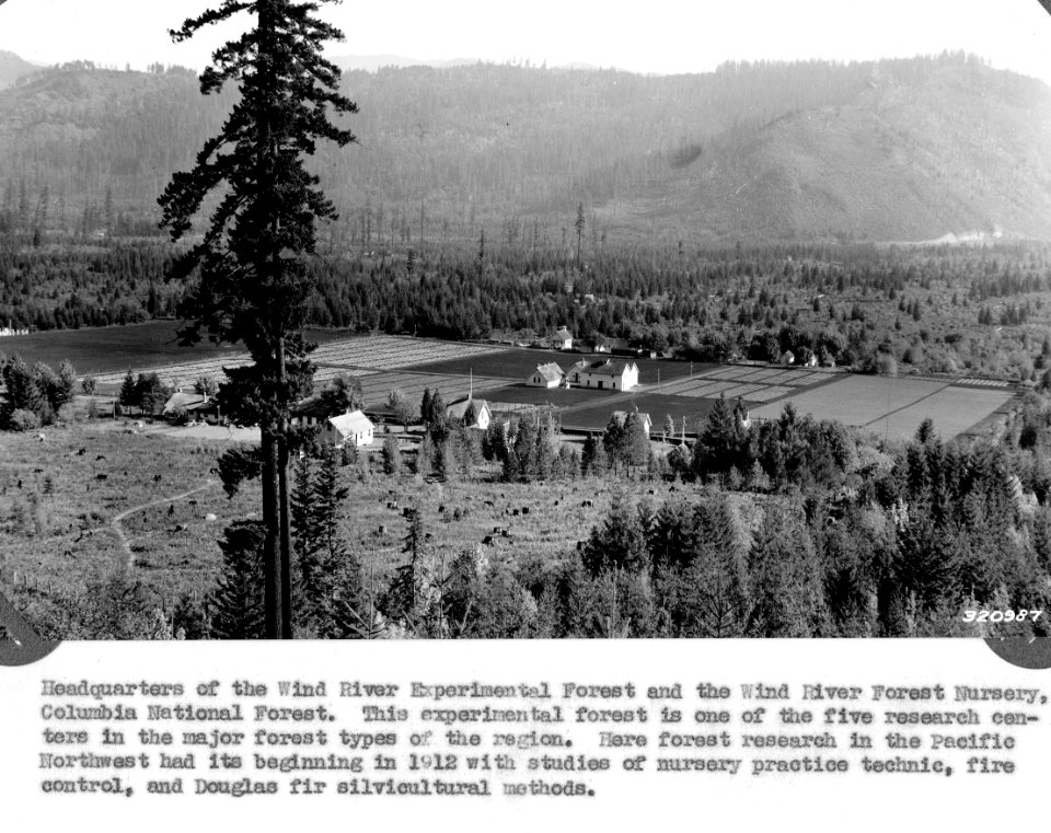 320987 Wind Experiment Station, Columbia NF, WA