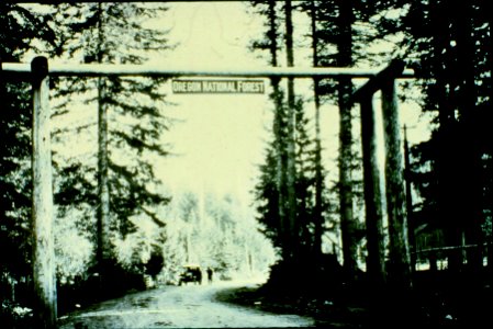 Oregon NF - Entrance Portal, OR c1915a
