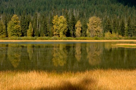 Lost Lake in Autumn, Willamette National Forest photo