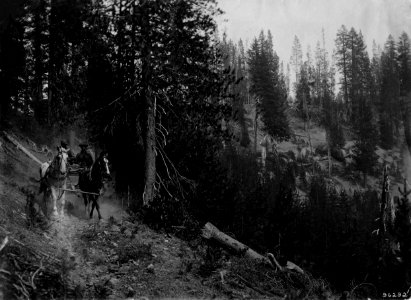 96292 Wagon on Trail from Diamond Lake, Umpqua NF, OR 8-28-1911