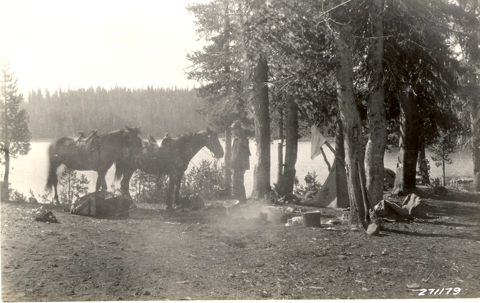 16100-10 Forester in camp with horses c1930