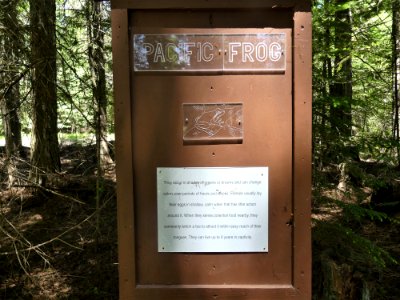 Colville NF Big Meadow Lake Trail interp frog June 2020 by Sharleen Puckett