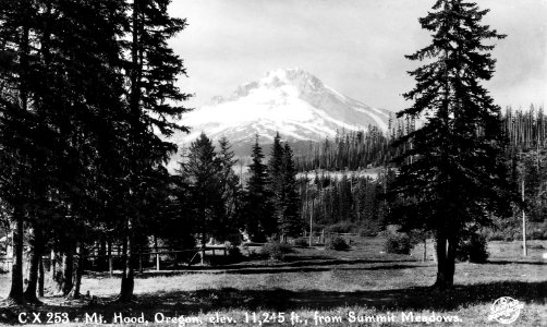 CX 253 Mt. Hood, Oregon from Summit Meadows