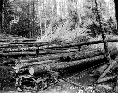 234 Getting Out the Piles Near Camp 3-A, Toledo