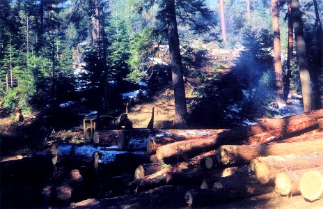 1950-s Logging on Paulina District 02 photo