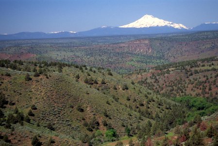 Lower Wychus Creek, Crooked River National Grassland, Ochoco National Forest.jpg photo