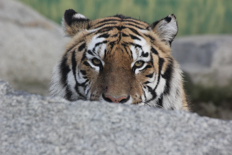Relaxation rest look