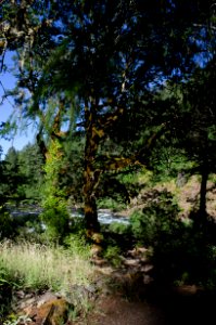 Recreation on the "Wild and Scenic" north Umpqua River