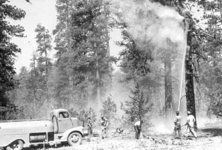 331 Mt Hood National Forest, using new fire engine to put out fire 1930's photo