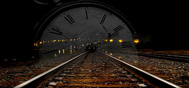 il lungo viaggio