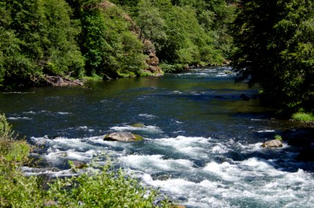 River recreation on the "Wild and Scenic" north Umpqua River