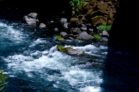River recreation on the "Wild and Scenic" north Umpqua River