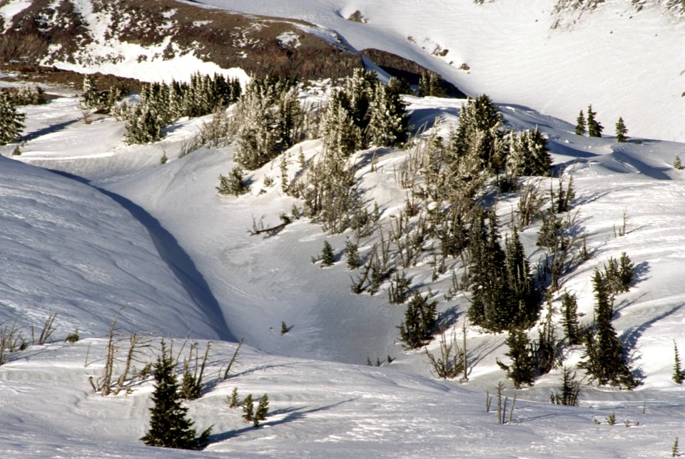 Mt Hood Mt Hood National Forest-3.jpg