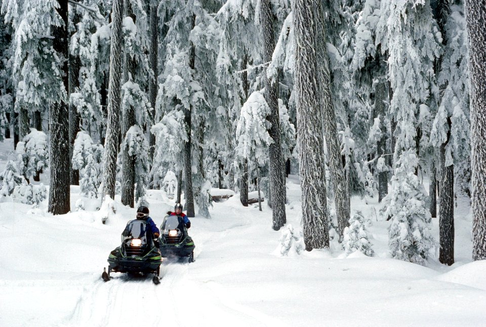 Snowmobiling snowmobile trail Mt Hood National Forest.jpg