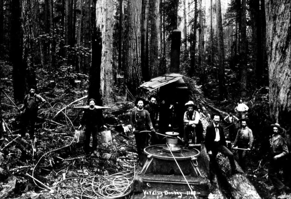 85553 Donkey Engine in Pierce County, WA 1908 French