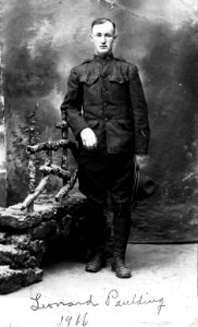 SPD Soldier Leonard Paulding 1916