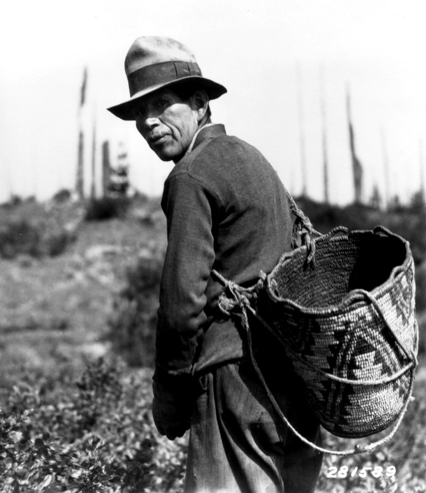 281589 Man Picking Huckleberries, Columbia NF 600dpi