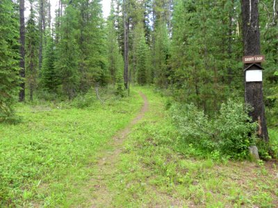 Colville NF Frater Lake June 2020 by Sharleen Puckett 9