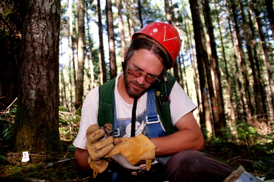 Forest scientist.jpg