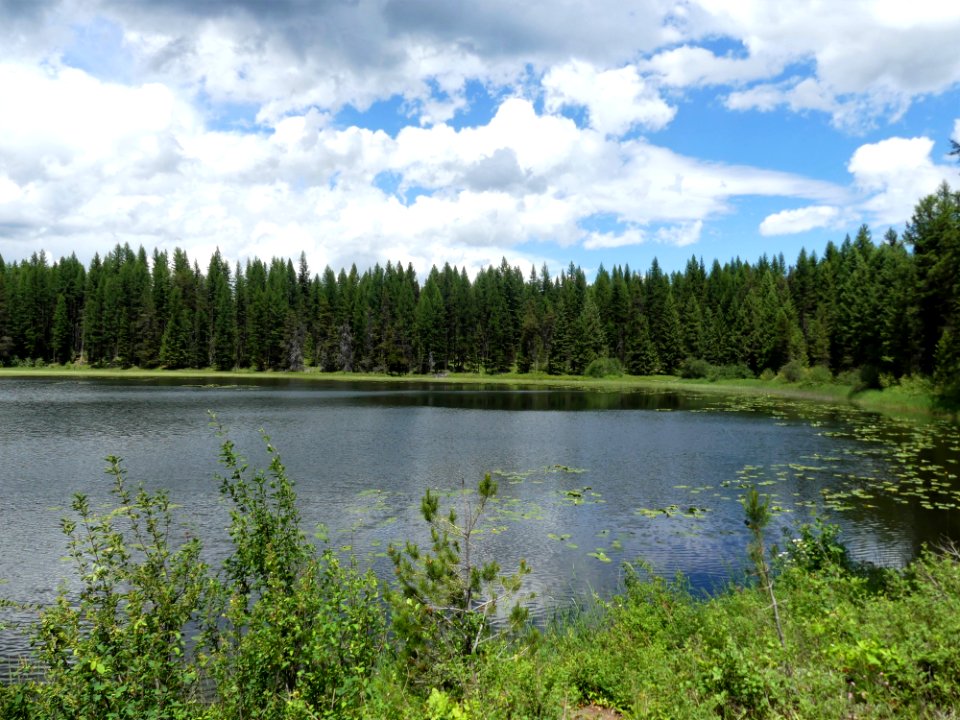 Colville NF Frater Lake June 2020 by Sharleen Puckett 4