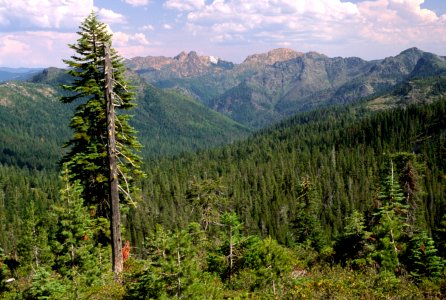 Forest and Mountains, Rogue River-Siskiyou National Forest.jpg