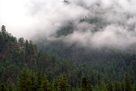 Mill Creek Drainage, Ochoco National Forest-2.jpg photo