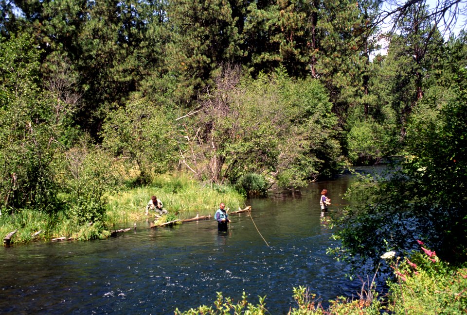 Fly fishing Metolius River, Deschutes National Forest photo
