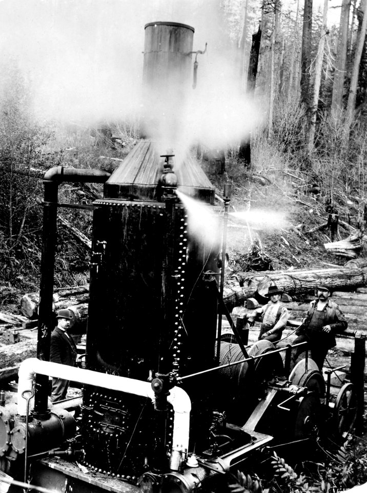 16178 Donkey Engine Skidding Logs - Collier Photo, WA c1900
