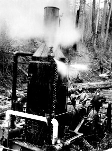 16178 Donkey Engine Skidding Logs - Collier Photo, WA c1900 photo