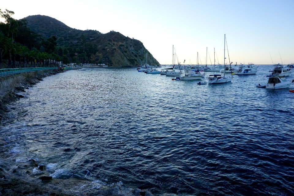 Catalina Island, CA (Unedited)