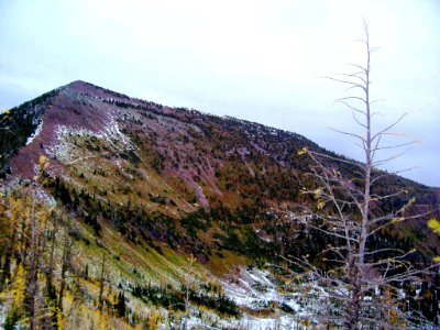 Nasukoin Mountain, highest mountain in Whitefish Range, Flathead National Forest