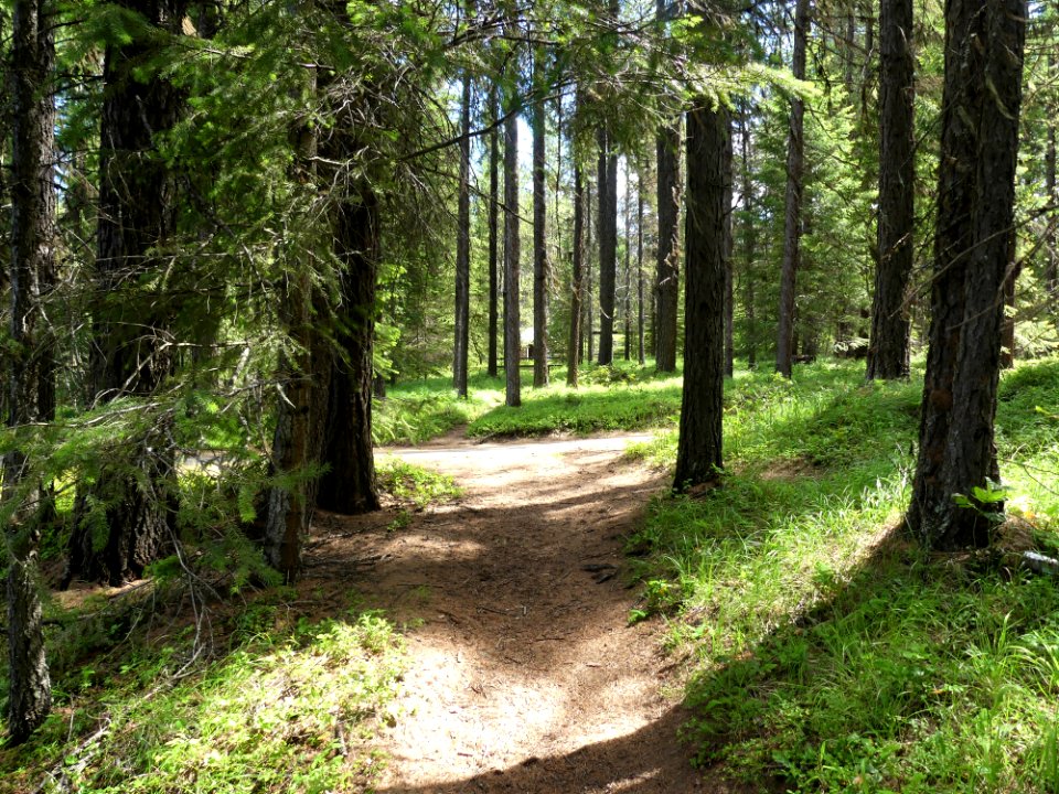 Colville NF Gillette Lake Campground June 2020 by Sharleen Puckett 16