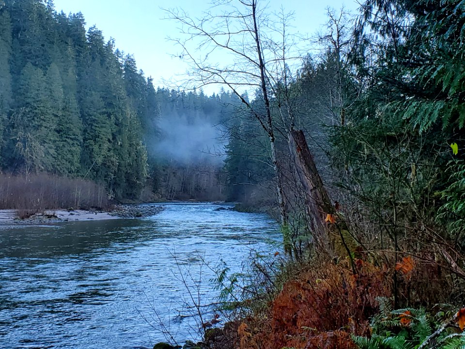 Autumn on the Old Sauk Trail, Mt. Baker-Snoqualmie National Forest.  Photo by Anne Vassar December 1, 2020.