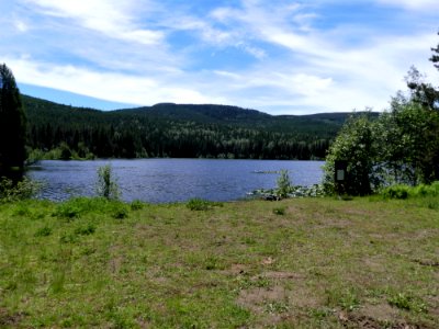 Colville NF Big Meadow Lake Trail shore June 2020 by Sharleen Puckett