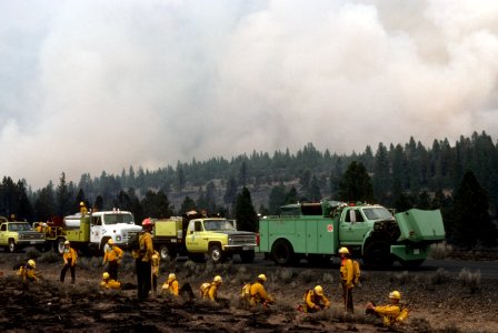 264 Malheur National Forest. Pine Springs fire