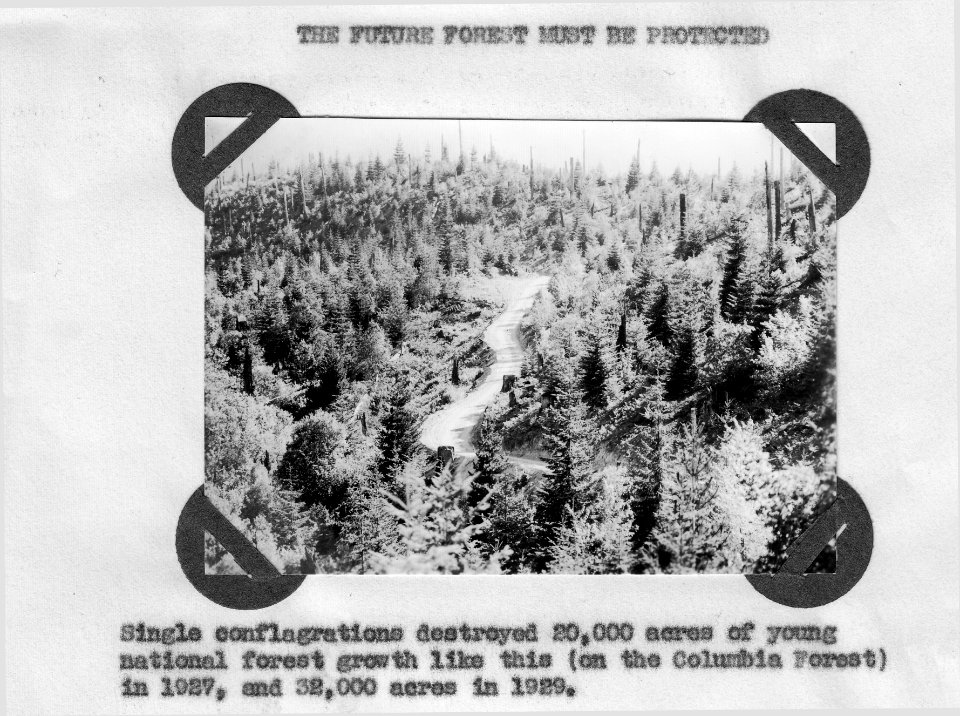 Fire Result on Columbia NF, WA