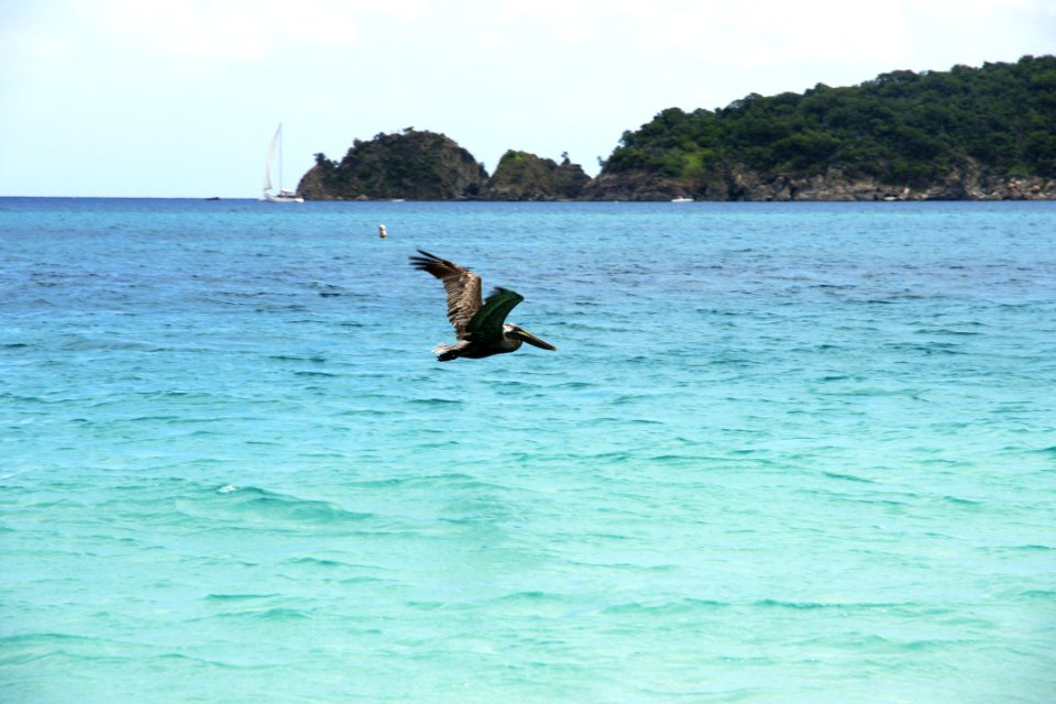 St John, US Virgin Islands photo