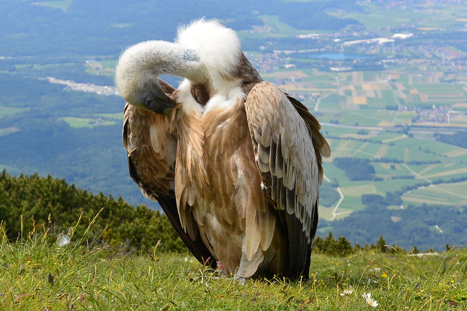 Salzburg austria unterberg
