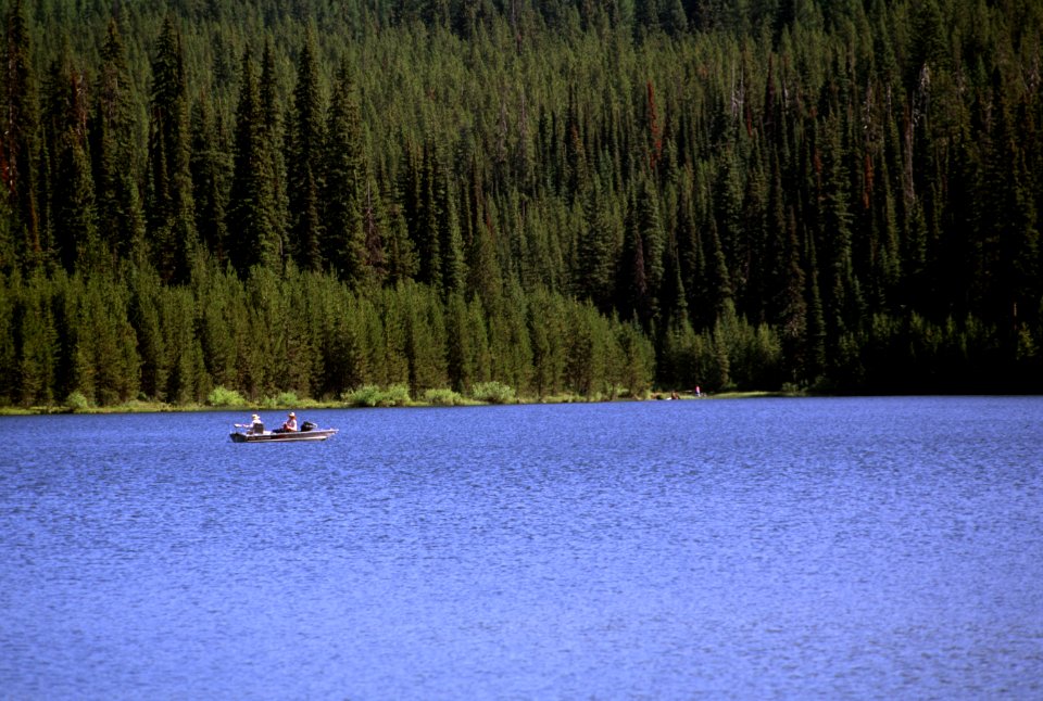 Fishing, Jubilee Lake, Umatilla National Forest