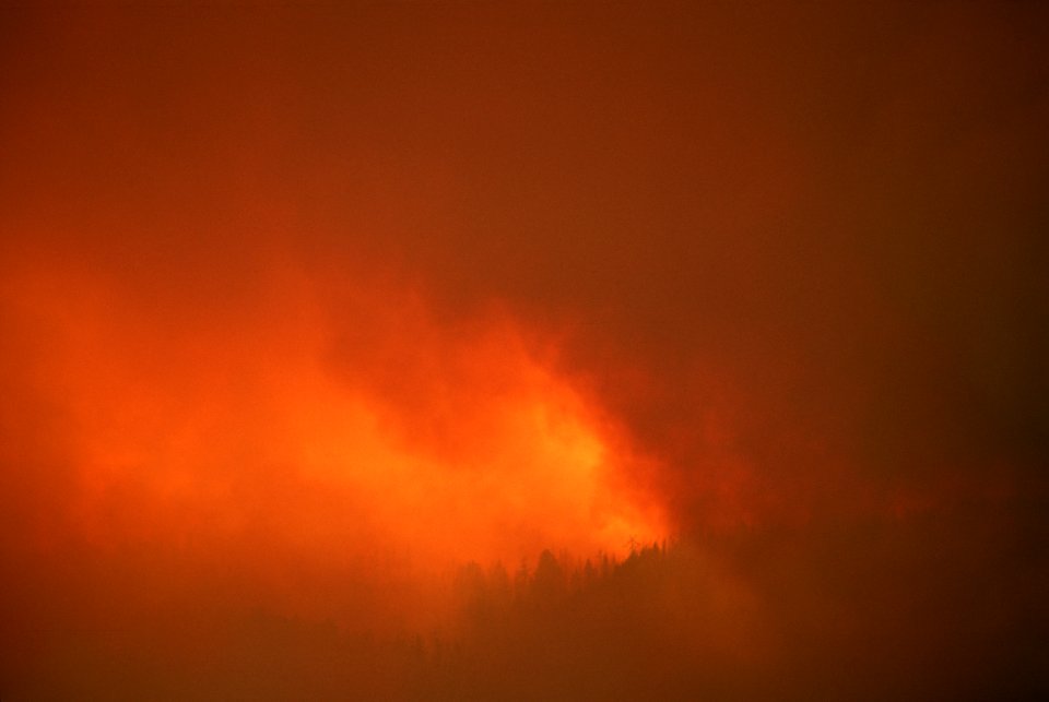 107 Rogue River-Siskiyou National Forest Biscuit Fire