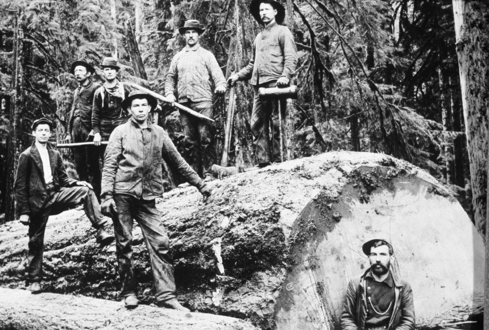 055 Loggers pose for photo, 1890's