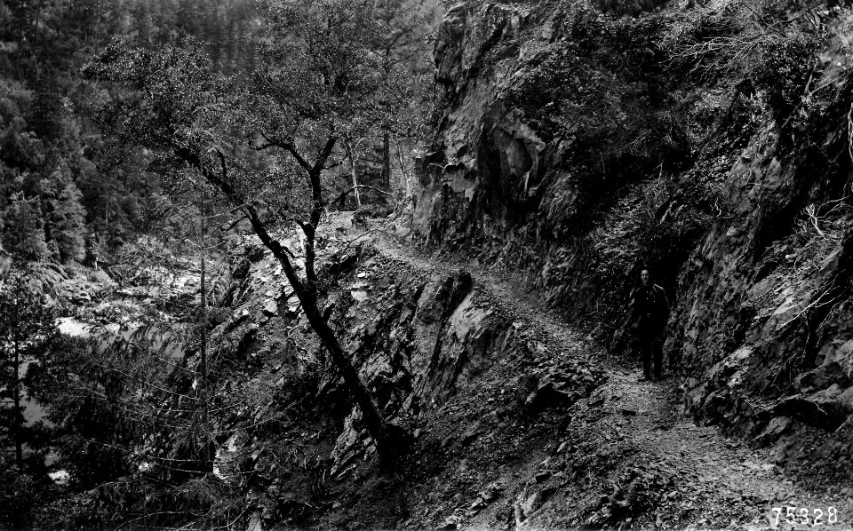 75328 Trail Along Rogue River, Siskiyou NF, OR.JPG