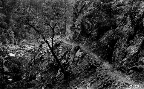 75328 Trail Along Rogue River, Siskiyou NF, OR.JPG