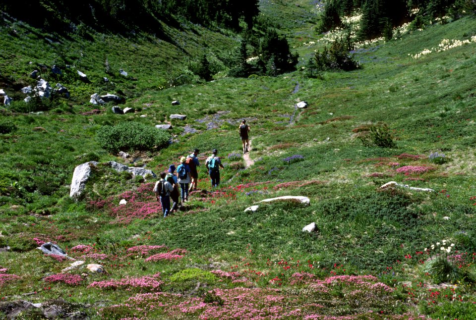 Hikers Timberline  trail Mt Hood National Forest.jpg