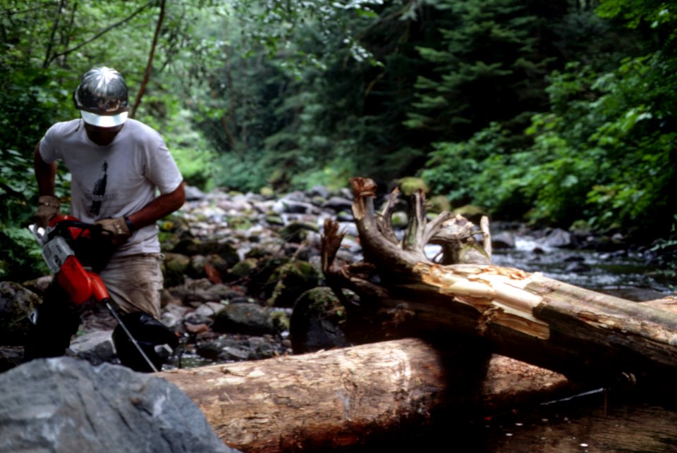 Mt Hood National Forest, fisheries-2.jpg