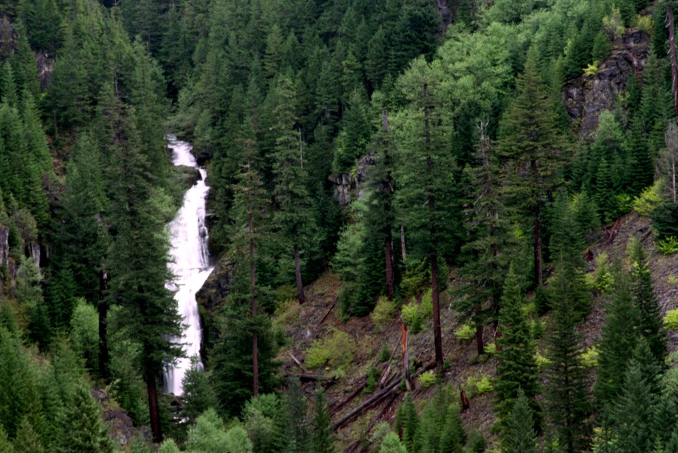 Mt Hood National Forest, Devil's Falls.jpg