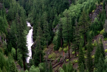 Mt Hood National Forest, Devil's Falls.jpg