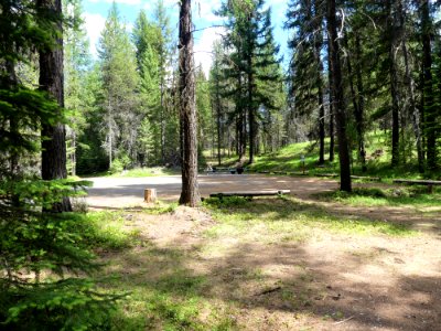 Colville NF Gillette Lake Campground June 2020 by Sharleen Puckett 17